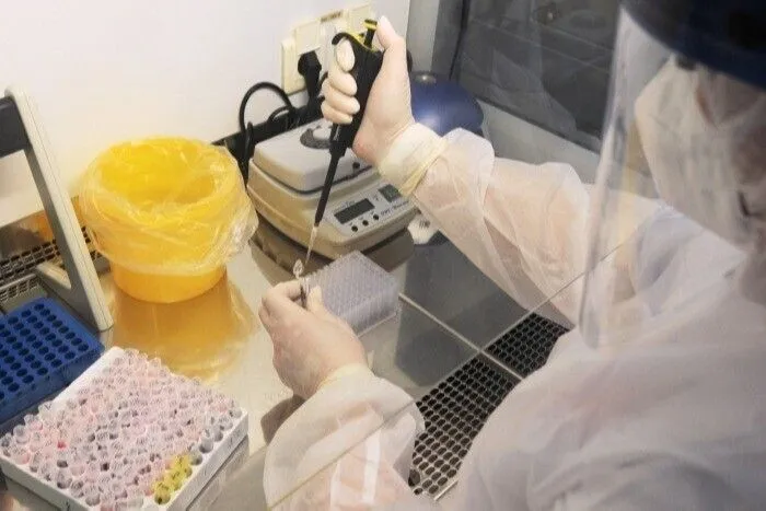 Заразились от медведя