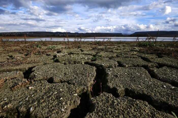 Новосибирская область вводит режим ЧС из-за засухи