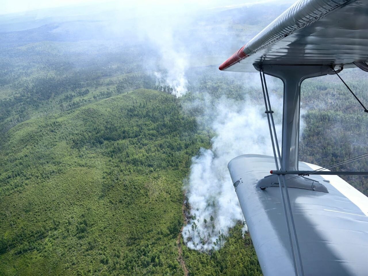 Режим ЧС в лесах введен в Селемджинском районе Приамурья из-за природных пожаров