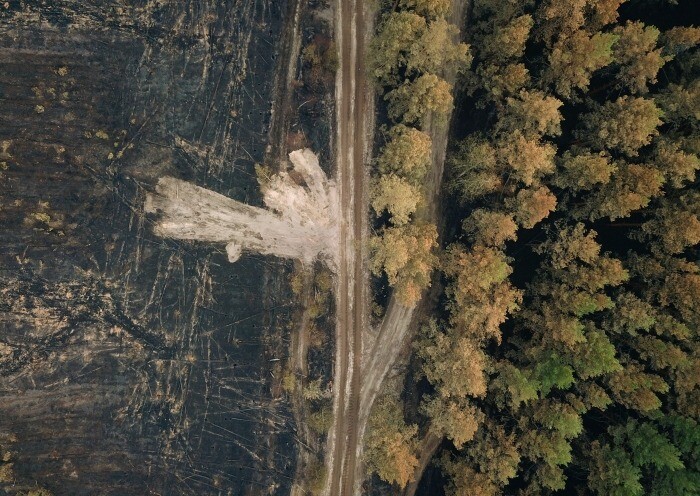 Пожары уничтожили более 200 га леса в Мурманской области