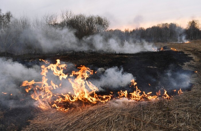 Лесопожарные службы необходимо наделить полномочиями по тушению ландшафтных пожаров - губернатор Дегтярев