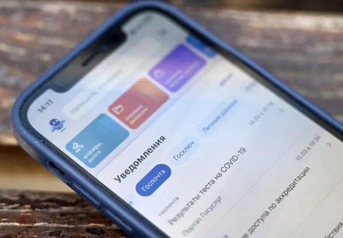Ученые звания доцента и профессора теперь можно оформить через "Госуслуги"