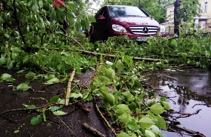 Около 70 деревьев повалено в Москве из-за непогоды, повреждено более полусотни автомобилей