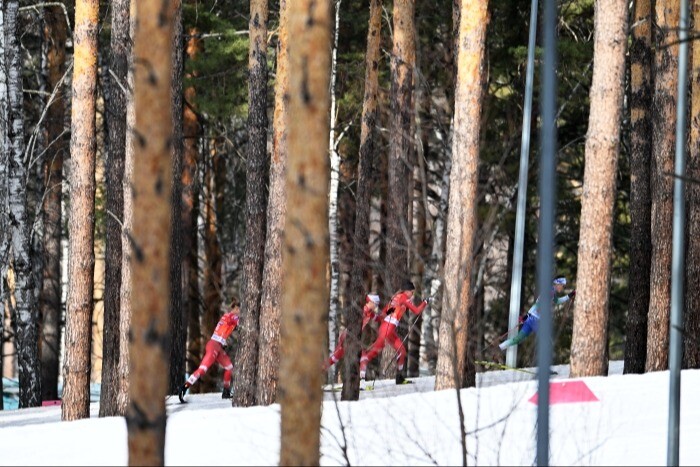 Закон, разрешающий строительство лыжных трасс и велодорожек в лесу, принят Госдумой