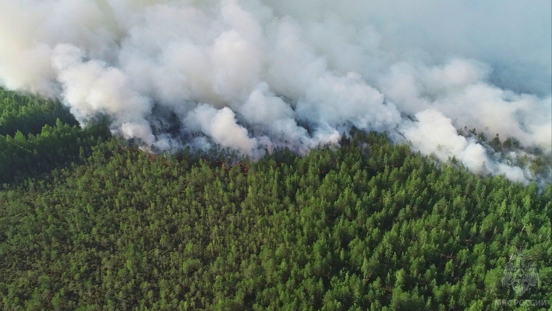 Лесной пожар ликвидируют в Прикамье третий день, площадь возгорания выросла в 44 раза - до 84 га