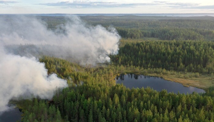 Более 20 тыс. га леса горит на севере Красноярского края