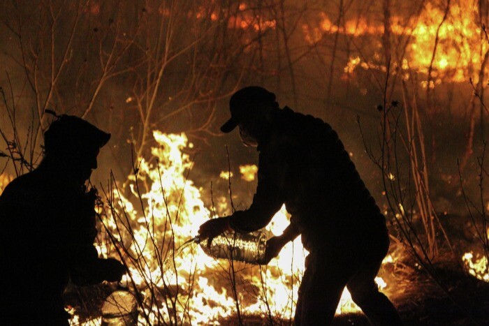 Высокая пожарная опасность ожидается в лесах Тюменской области из-за жары