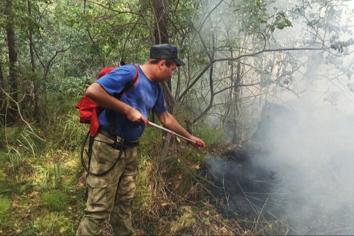 Высокая пожарная опасность прогнозируется в лесах Тюменской области в выходные
