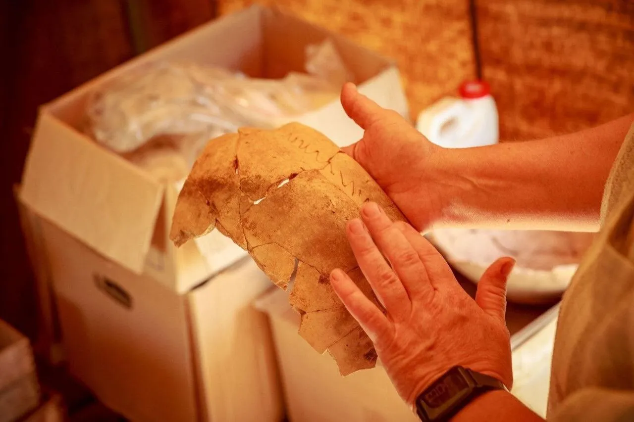 Археологи находят новые доказательства существования средневековых поселений возле Куликова поля под Тулой