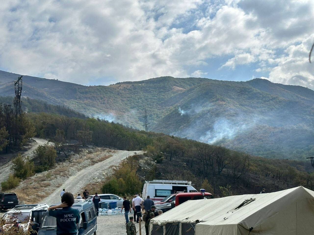 Лесной пожар в Геленджике не затронул жилой фонд - МЧС