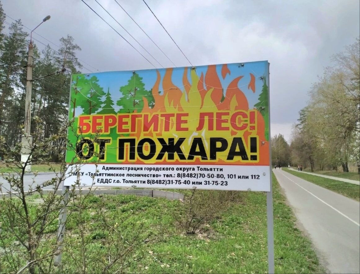 Запрет на посещение лесов продлили в Тольятти