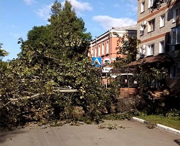Штормовой ветер нарушил энергоснабжение и повалил деревья на юге Приамурья