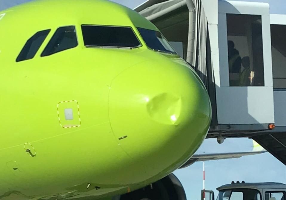 Airbus-320 столкнулся с птицей при посадке в аэропорту Анадыря, пострадавших нет