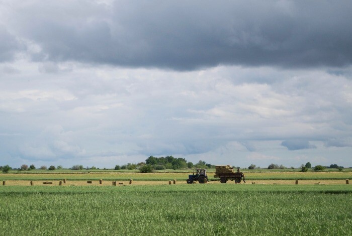 Бесплатным "сельскохозяйственным гектаром" будут наделять в Омской области отличившихся участников СВО