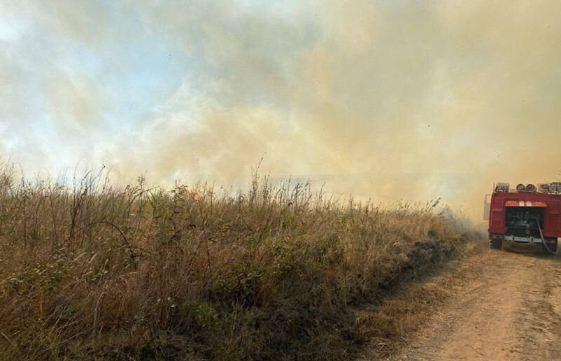 Сухая трава на площади 1 га горит в Темрюкском районе Кубани