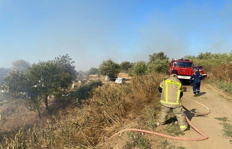 Угрозы населению от природного пожара в Темрюкском районе Кубани нет - власти