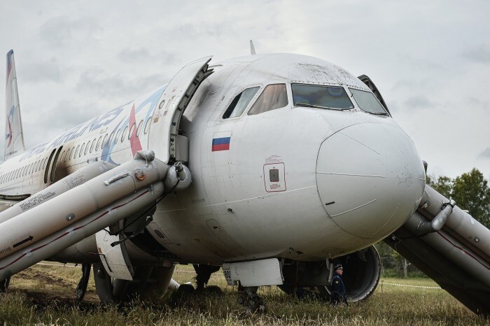Большинство пассажиров севшего на поле в Сибири самолета получили компенсации