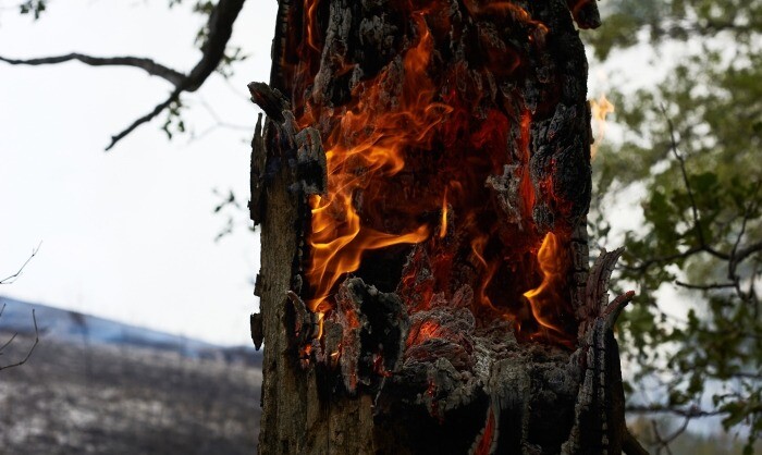 Высокий риск природных пожаров в Тюменской области сохранится до выходных