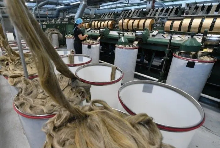 Удмуртия в 2023г планирует сохранить производство льна на уровне прошлого года