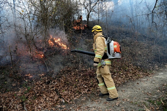Третий за неделю лесной пожар потушили в Северском районе Кубани
