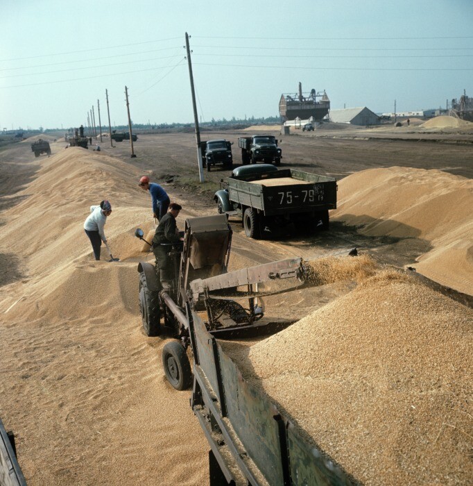 Челябинская область отмечает рост экспорта зерна в текущем сельхозсезоне