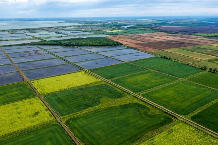 "АПК Ресурс" вложит 14 млрд руб. в проект выращивания и переработки риса в Астраханской области