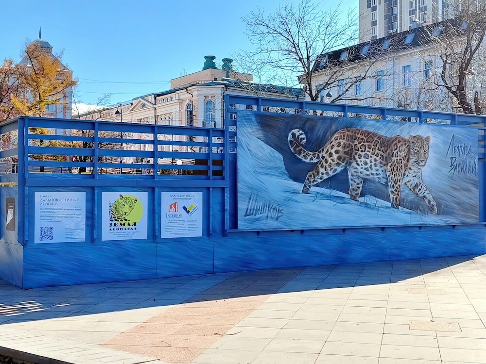 Панно с портретом дальневосточного леопарда открыли на набережной Владивостока