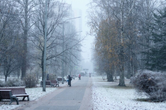 Более 400 новых зеленых зон защитят от застройки в Петербурге