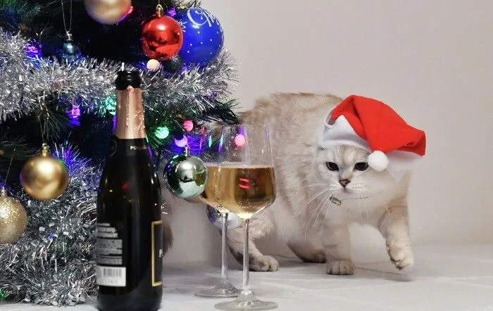 Среднестатистический россиянин потратит на новогодние праздники около 20 тыс. руб.