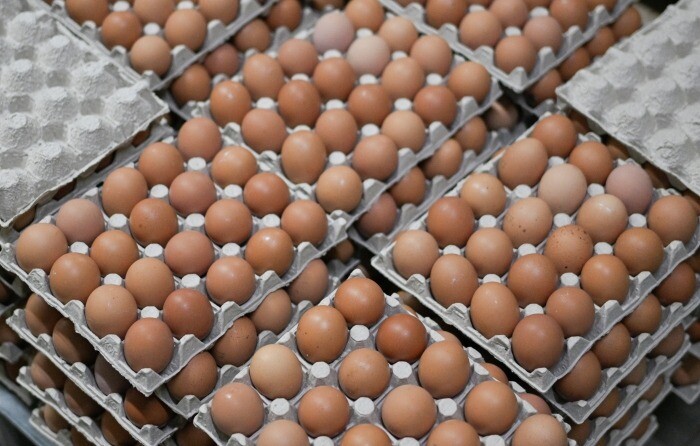Цены на яйца в РФ начнут снижаться после Нового года