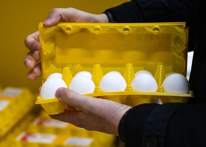 Власти Иркутской области договорились с производителями куриного яйца о фиксации цен до 1 апреля