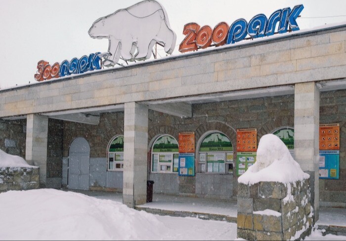 Петербургские музеи и зоопарк смогут посещать бесплатно участники СВО и их семьи