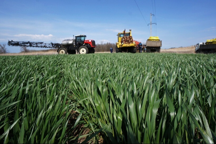 Господдержка развития сельского хозяйства в Ростовской области в 2024г приблизится к 6 млрд руб