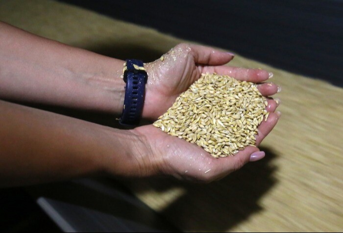 Башкирия в 2023 году удвоила экспорт зерна