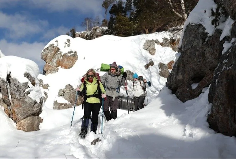Экспедицию на перевал Дятлова организовали в честь 65-летия гибели группы
