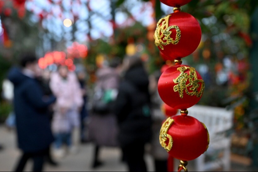 Приамурье поздравит Китай с Праздником весны ярким драконом на телебашне