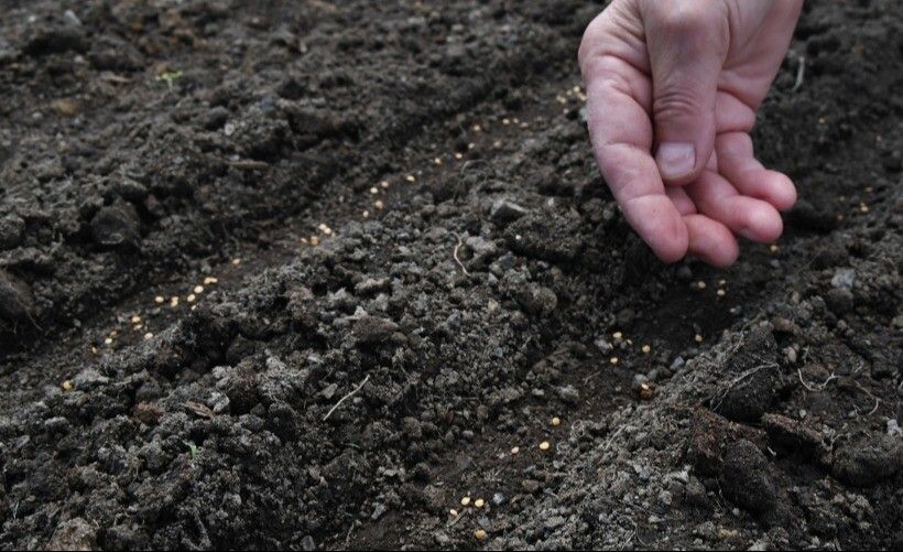 агропромышленный комплекс 2024.