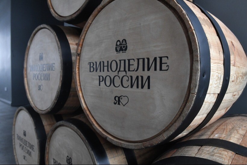 Ростовская область активно развивает виноделие - губернатор