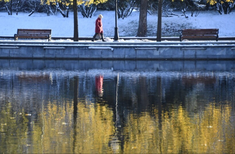 Более 20 прудов реконструируют в этом году в Москве
