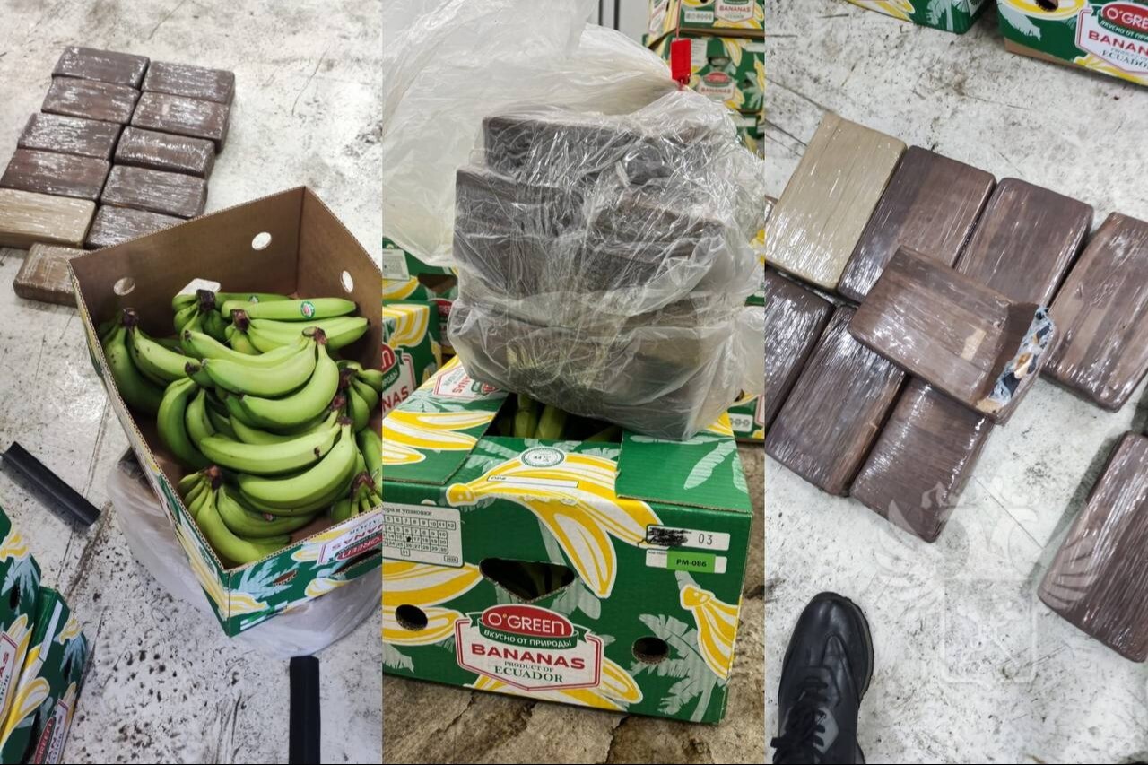 Кокаин из Бельгии на 165 млн рублей нашли среди бананов в порту Петербурга
