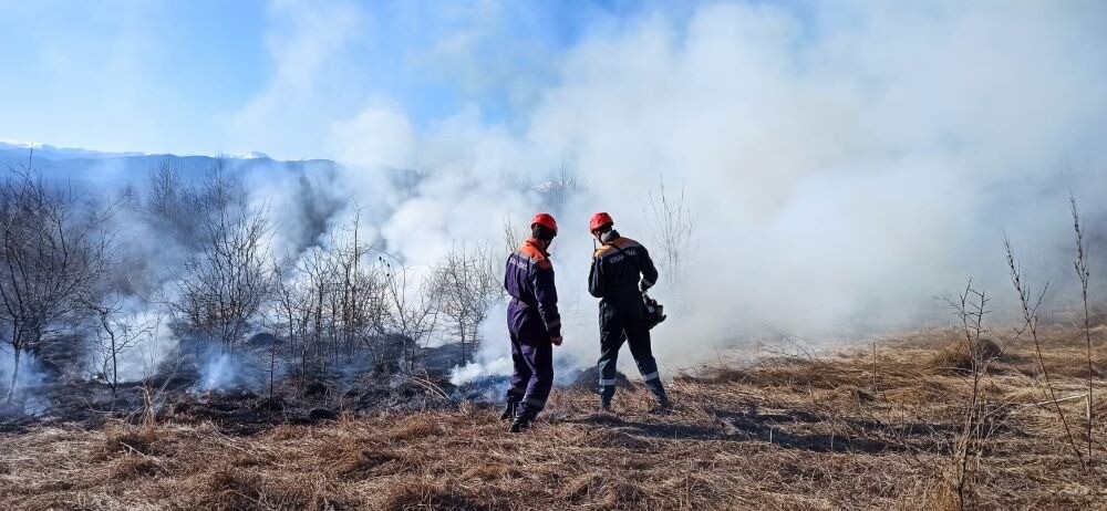 Количество природных пожаров на Кубани за два месяца выросло на 13%