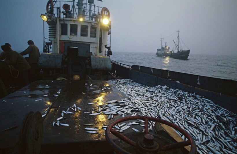 Сенаторы РФ денонсировали соглашение между СССР и Великобританией о вылове рыбы