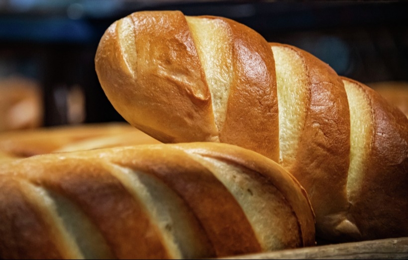 Хлеб: польза и вред для организма. Рецепты домашнего хлеба в духовке 