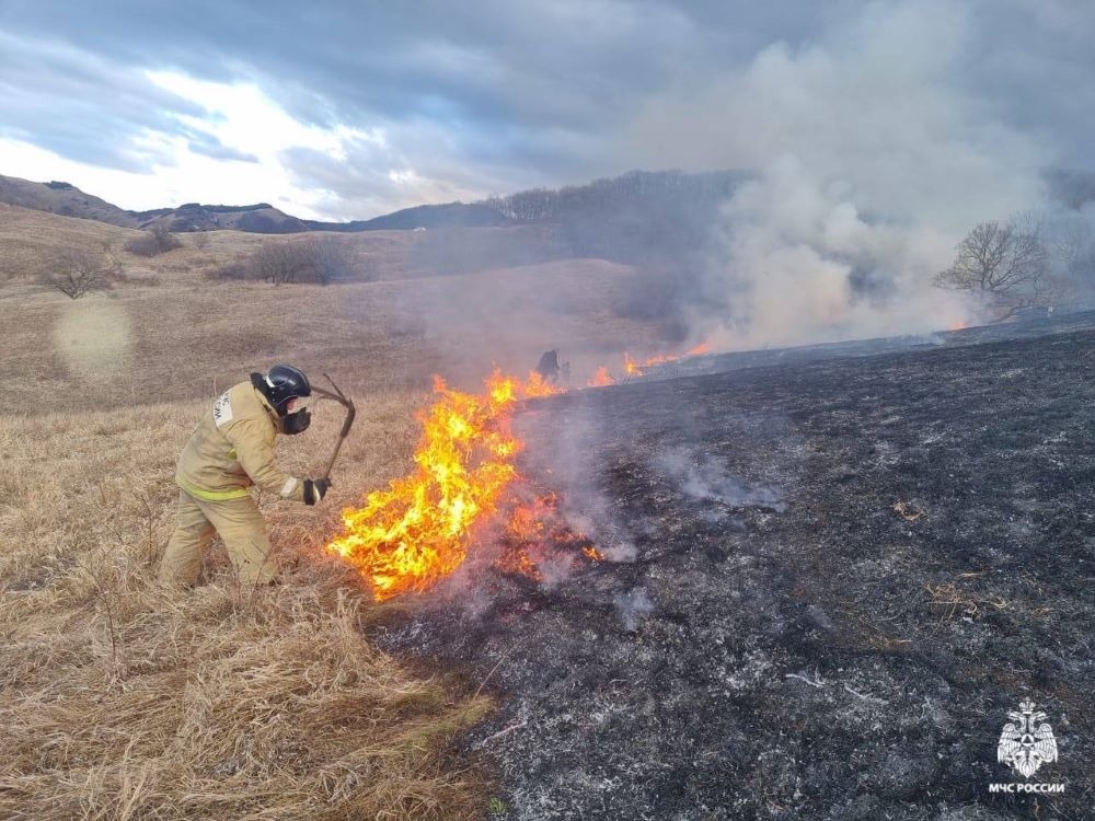 Пожарные потушили возгорание сухой травы под Кисловодском