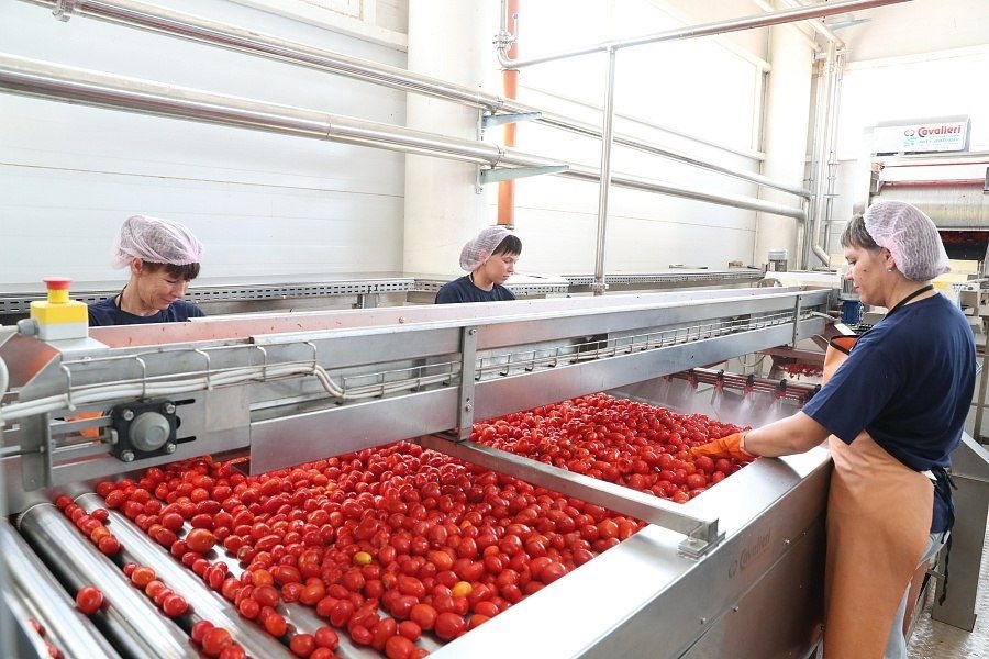 "Кухмастер" к 2027г планирует увеличить в 2,4 раза выпуск овощных консервов в Волгоградской области - власти