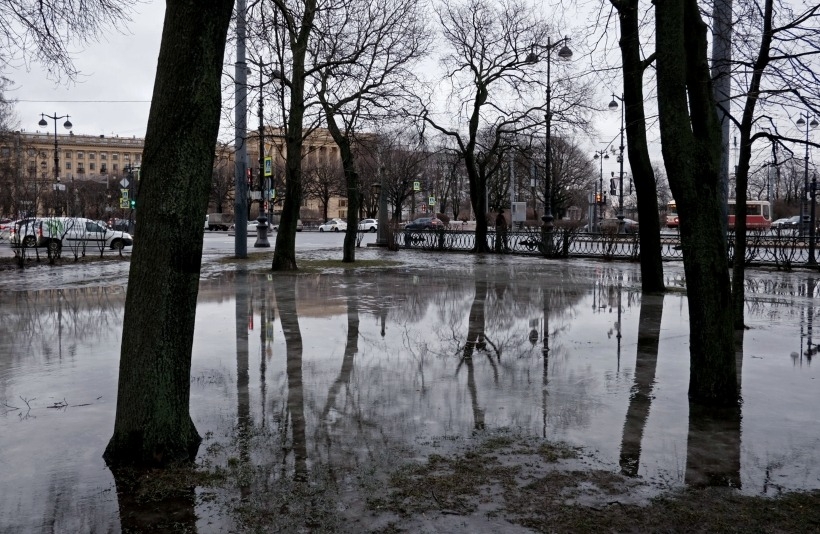 Более 100 скверов и садов в Петербурге закрыли на просушку и уборку