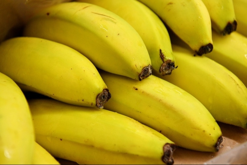 Калининградская полиция изъяла 76 кг кокаина в бананах из Колумбии