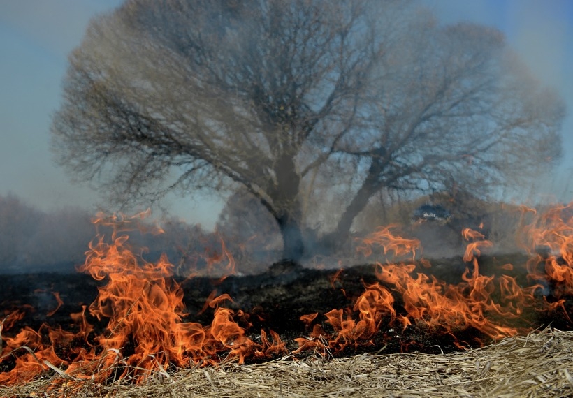 Чрезвычайная пожарная опасность ожидается в Крыму