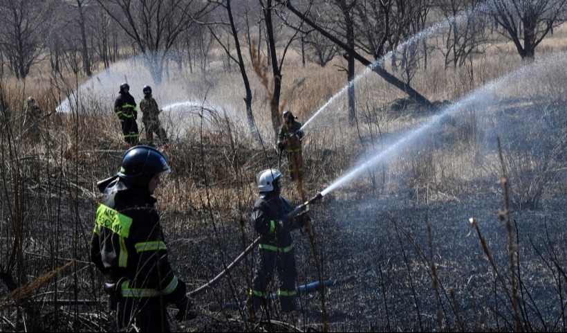 Пожар в лесничестве тушат в Туапсинском районе Кубани