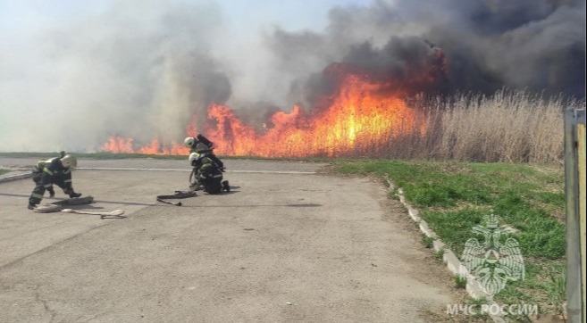 Ландшафтный пожар потушили в Астрахани, пострадавших нет - МЧС